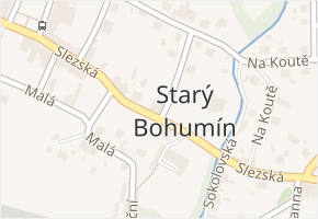 Starý Bohumín v obci Bohumín - mapa části obce