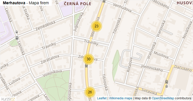 Mapa Merhautova - Firmy v ulici.
