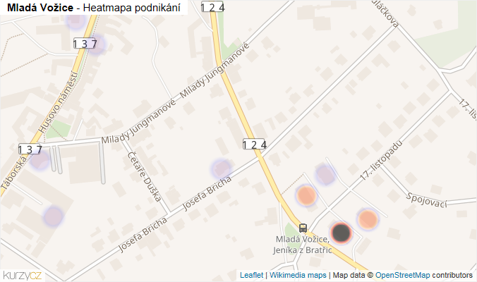 Mapa Mladá Vožice - Firmy v obci.