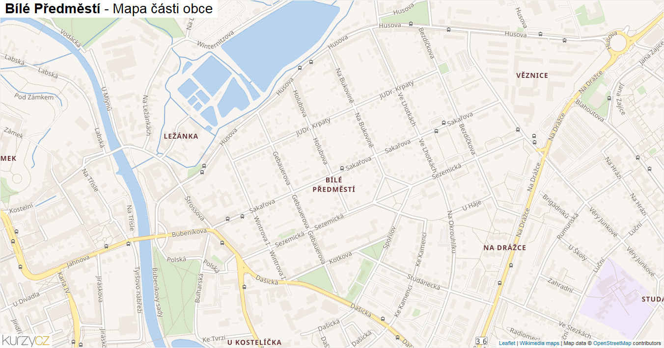 Bílé Předměstí - mapa části obce