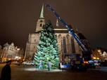 Vánoční strom na náměstí Republiky 
