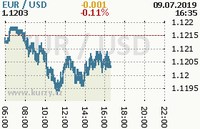 Online graf kurzu usd/eur