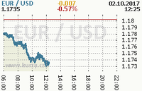 Online graf kurzu usd/eur
