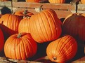 Recept na hrníčkovou polévku z tykve po maďarsku Polévka zahřeje a veříme, že i zachutná