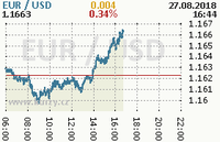 Online graf kurzu usd/eur