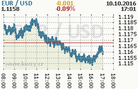 Online graf kurzu usd/eur