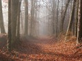 Ilustrační foto.
